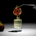 Pigmentarium Genesis Eau de Parfum - Stéle