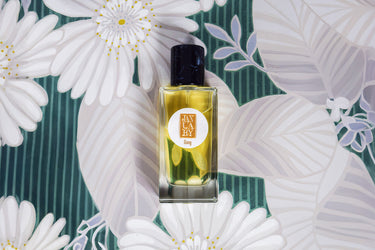 January Scent Project Gong Eau de Parfum - Stéle