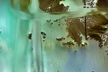 NOSU Hides Eau de Parfum