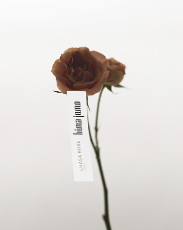 Hima Jomo Lhasa Rose 1924 Eau de Parfum - Stéle