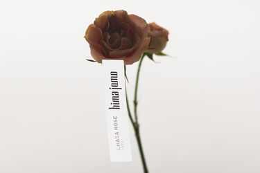 Hima Jomo Lhasa Rose 1924 Eau de Parfum at Stéle