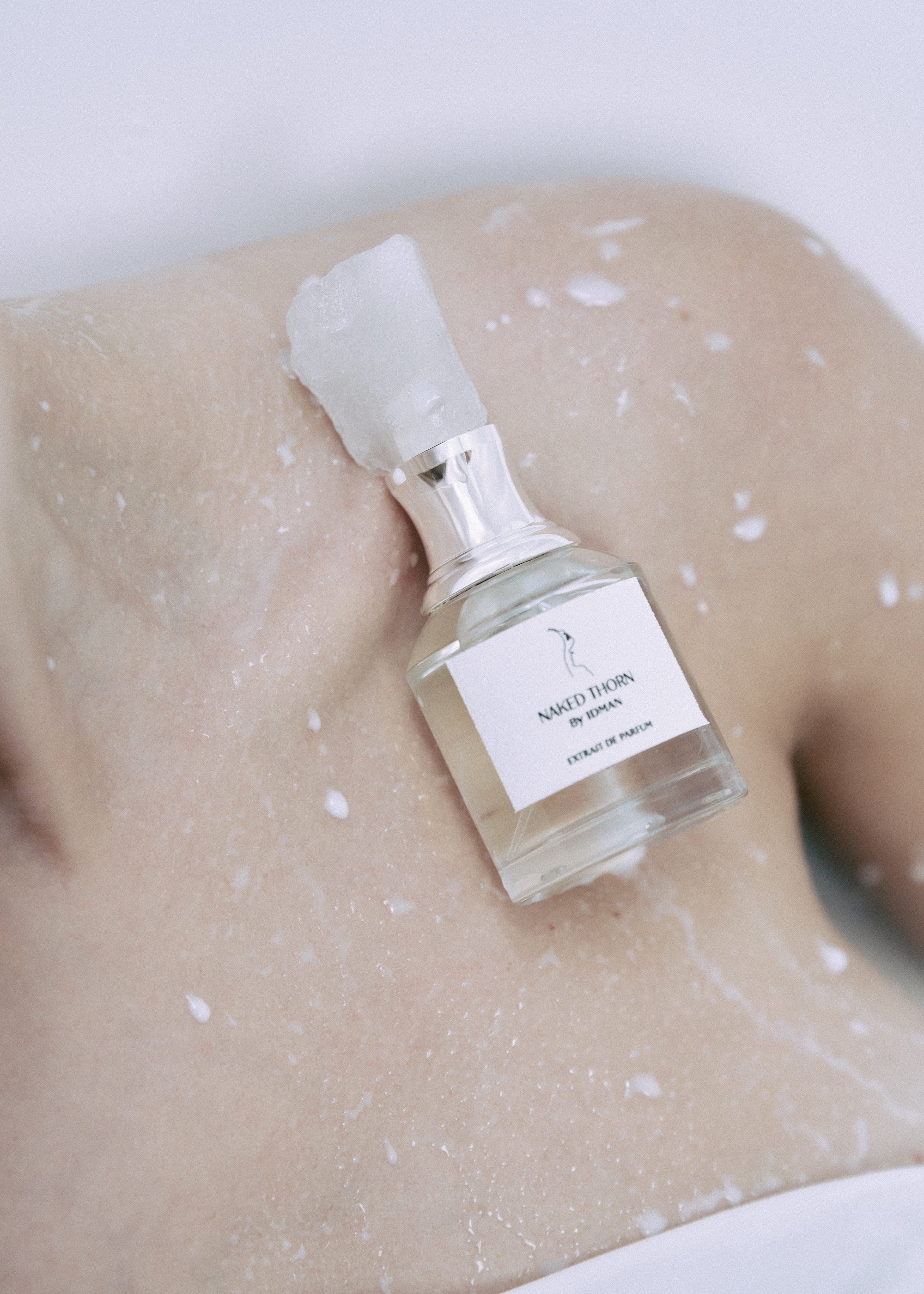 Maya Njie Nordic Cedar Eau De Parfum – Stéle