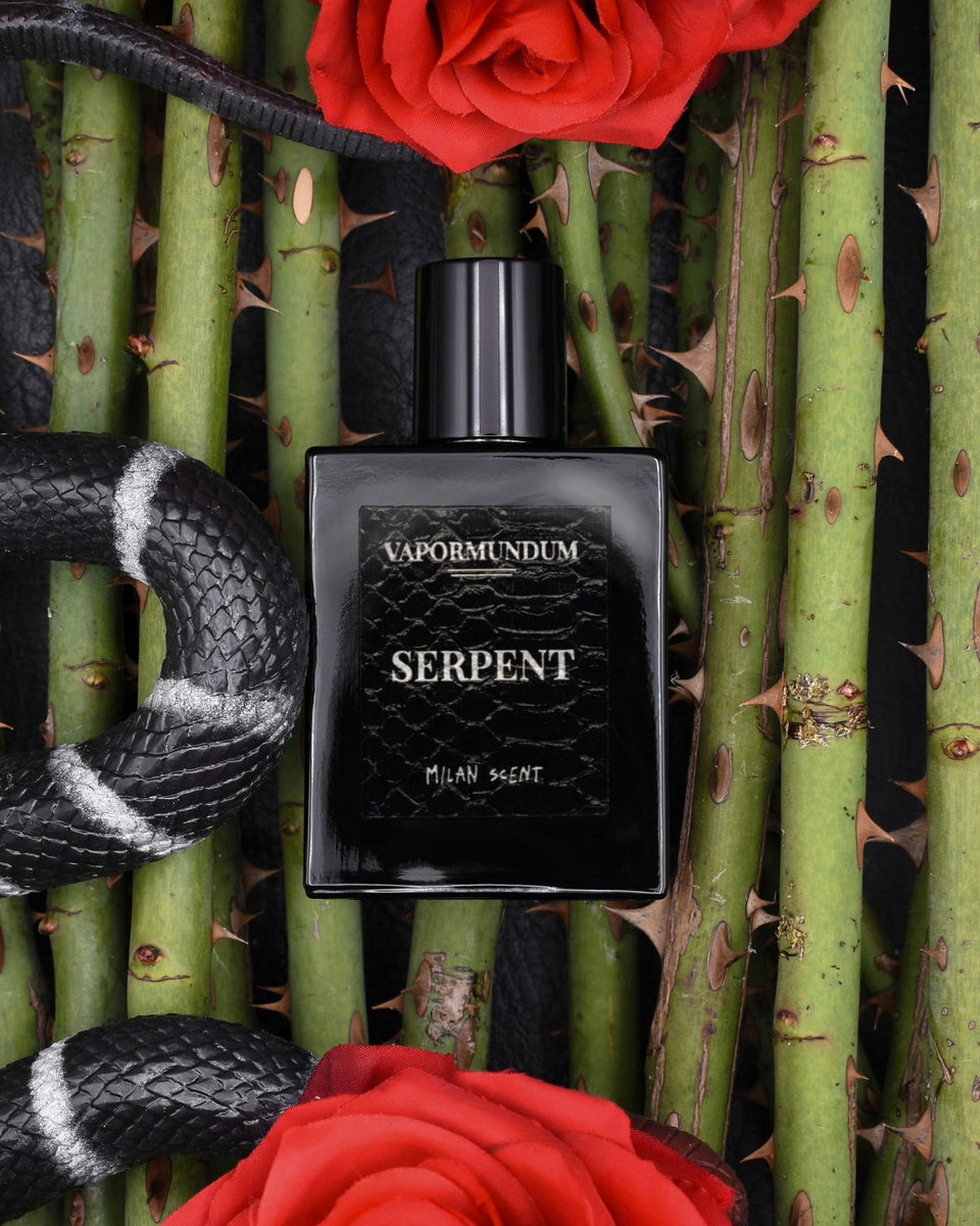 Vapormundum Serpent Extrait de Parfum - Stéle