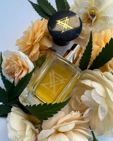 Extra Virgo Monte Kush Extrait de Parfum - Stéle