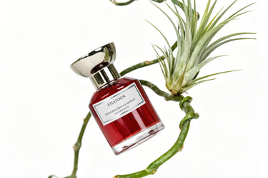 Mohammadreza Kazemian Khatoon Eau de Parfum - Stéle