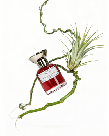 Mohammadreza Kazemian Khatoon Eau de Parfum - Stéle