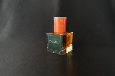 Aton Carnalis Elixir de Parfum - Stéle