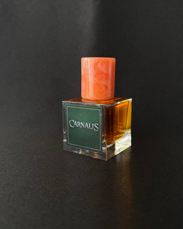 Aton Carnalis Elixir de Parfum - Stéle