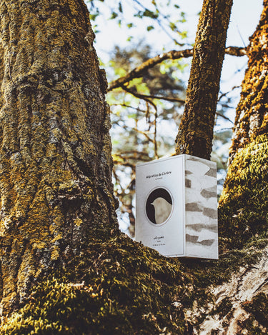 Senyokô Migration de l'Arbre Eau de Parfum - Stéle