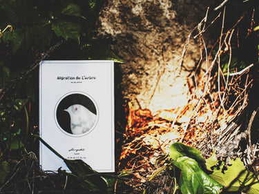 Senyokô Migration de l'Arbre Eau de Parfum - Stéle
