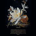 Extra Virgo Florilegium Extrait de Parfum - Stéle