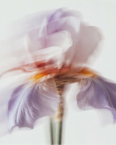 L'Entropiste Blanc Sada Eau de Parfum - Stéle
