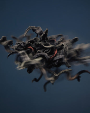 L'Entropiste Jodhpur 6am Eau de Parfum - Stéle