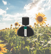Voyager Lens Flare Eau de Parfum - Stéle