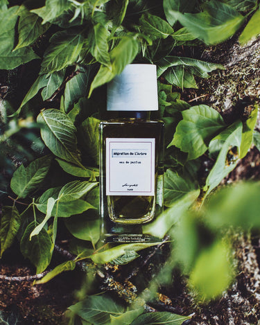 Senyokô Migration de l'Arbre Eau de Parfum - Stéle