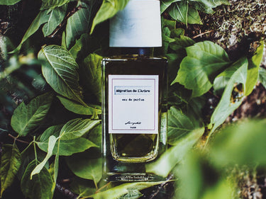 Senyokô Migration de l'Arbre Eau de Parfum - Stéle