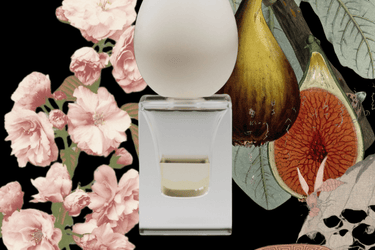 Perfume Who Meshes of the Afternoon Eau de Parfum - Stéle