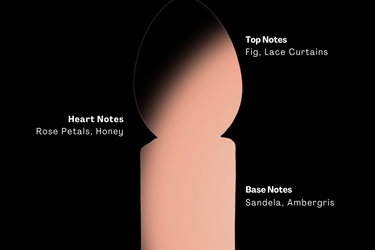Perfume Who Meshes of the Afternoon Eau de Parfum