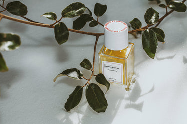 Senyokô Migration de l'Arbre Eau de Parfum - Stéle