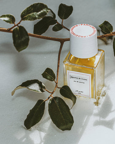 Senyokô Migration de l'Arbre Eau de Parfum - Stéle