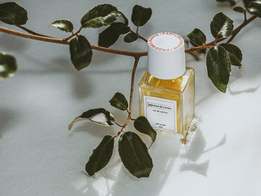Senyokô Migration de l'Arbre Eau de Parfum - Stéle