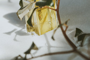 Senyokô Migration de l'Arbre Eau de Parfum - Stéle