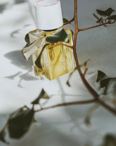 Senyokô Migration de l'Arbre Eau de Parfum - Stéle