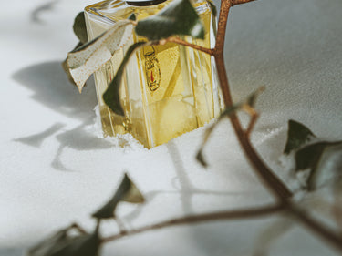 Senyokô Migration de l'Arbre Eau de Parfum - Stéle