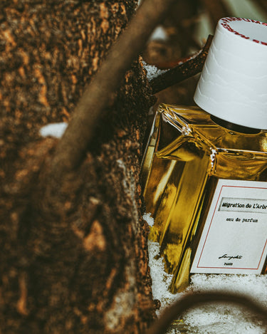 Senyokô Migration de l'Arbre Eau de Parfum - Stéle