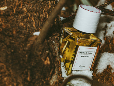Senyokô Migration de l'Arbre Eau de Parfum - Stéle