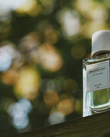 Senyokô Migration de l'Arbre Eau de Parfum - Stéle
