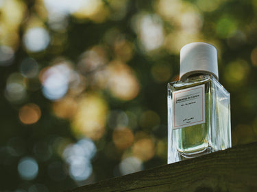 Senyokô Migration de l'Arbre Eau de Parfum - Stéle