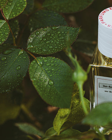 Senyokô Duo des Fleurs Eau de Parfum - Stéle