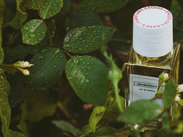 Senyokô Duo des Fleurs Eau de Parfum - Stéle