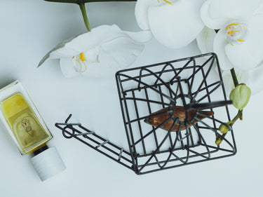 Senyokô Migration de l'Arbre Eau de Parfum - Stéle