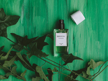 Senyokô Migration de l'Arbre Eau de Parfum - Stéle