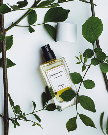 Senyokô Migration de l'Arbre Eau de Parfum - Stéle