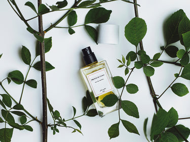 Senyokô Migration de l'Arbre Eau de Parfum - Stéle