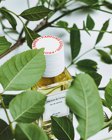 Senyokô Migration de l'Arbre Eau de Parfum - Stéle