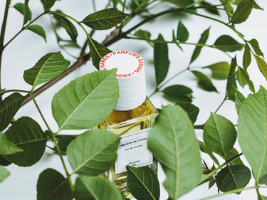 Senyokô Migration de l'Arbre Eau de Parfum - Stéle