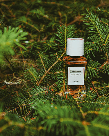 Senyokô Une Île Pluvieuse Extrait de Parfum - Stéle