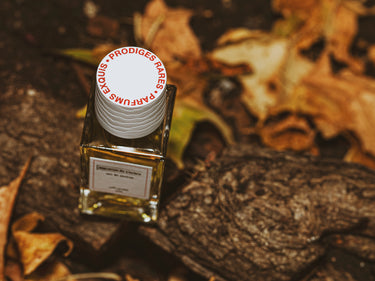 Senyokô Migration de l'Arbre Eau de Parfum - Stéle