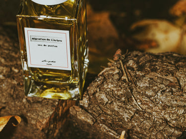 Senyokô Migration de l'Arbre Eau de Parfum - Stéle