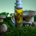 CLST Perfumes Mushmallow Eau de Parfum - Stéle