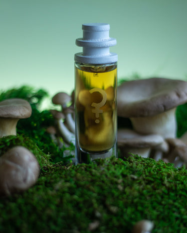 CLST Perfumes Mushmallow Eau de Parfum - Stéle