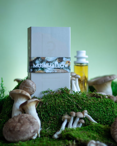 CLST Perfumes Mushmallow Eau de Parfum - Stéle