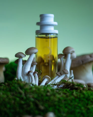 CLST Perfumes Mushmallow Eau de Parfum - Stéle