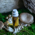 CLST Perfumes Mushmallow Eau de Parfum - Stéle