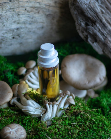 CLST Perfumes Mushmallow Eau de Parfum - Stéle