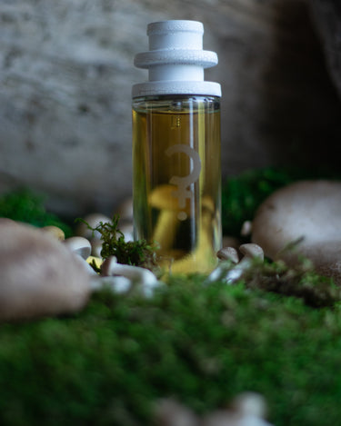 CLST Perfumes Mushmallow Eau de Parfum - Stéle
